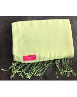 Pashmina eau de soie lichtgroen 70 x 180 cm | Hermine