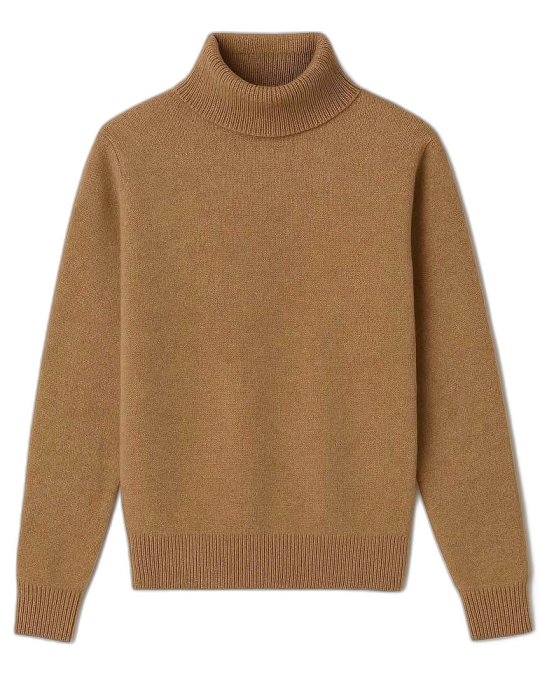 Pull col roulé en cachemire Homme Café
